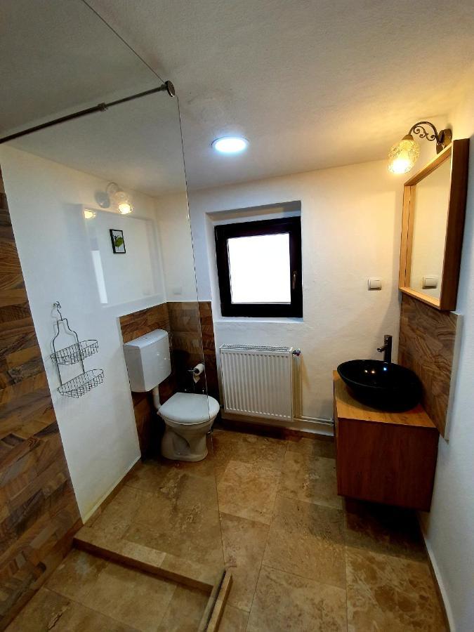 Maximus Apartments Sighisoara Exterior photo